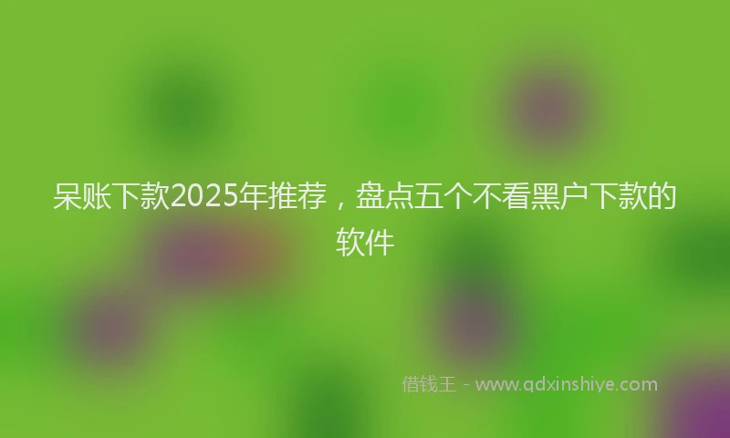 呆账下款2025年推荐，盘点五个不看黑户下款的软件
