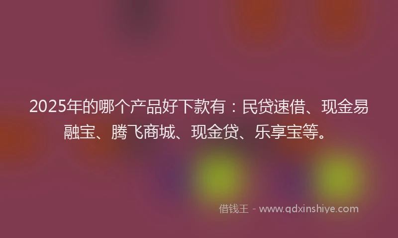 2025年的哪个产品好下款有：民贷速借、现金易融宝、腾飞商城、现金贷、乐享宝等。