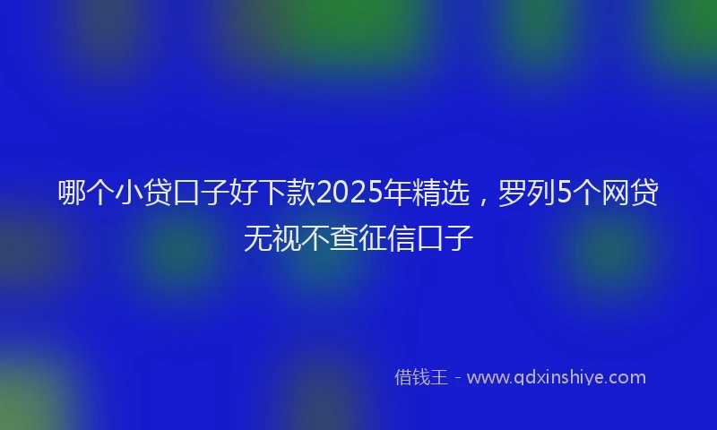 哪个小贷口子好下款2025年精选，罗列5个网贷无视不查征信口子