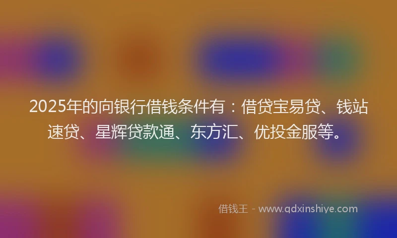 2025年的向银行借钱条件有：借贷宝易贷、钱站速贷、星辉贷款通、东方汇、优投金服等。