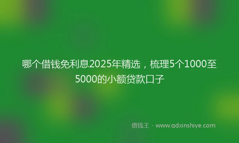 哪个借钱免利息2025年精选，梳理5个1000至5000的小额贷款口子