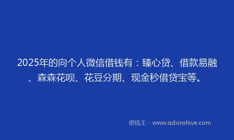 2025年的向个人微信借钱有：臻心贷、借款易融、森森花呗、花豆分期、现金秒借贷宝等。