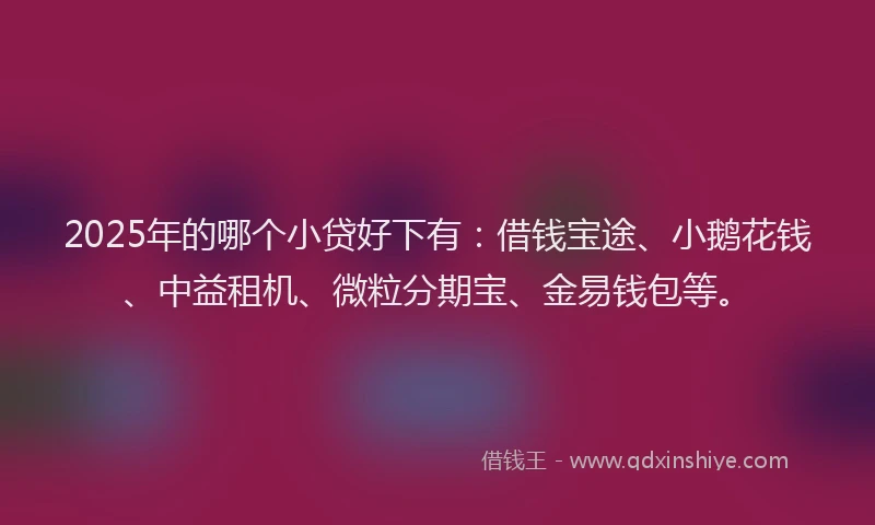 2025年的哪个小贷好下有:借钱宝途、小鹅花钱、中益租机、微粒分期宝、金易钱包等。