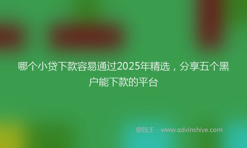 哪个小贷下款容易通过2025年精选,分享五个黑户能下款的平台