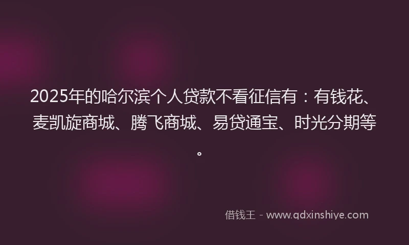 2025年的哈尔滨个人贷款不看征信有：有钱花、麦凯旋商城、腾飞商城、易贷通宝、时光分期等。