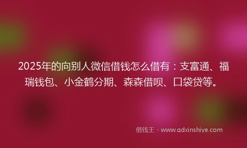 2025年的向别人微信借钱怎么借有：支富通、福瑞钱包、小金鹤分期、森森借呗、口袋贷等。