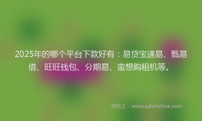 2025年的哪个平台下款好有：易贷宝速易、甄易借、旺旺钱包、分期易、蛮想购租机等。