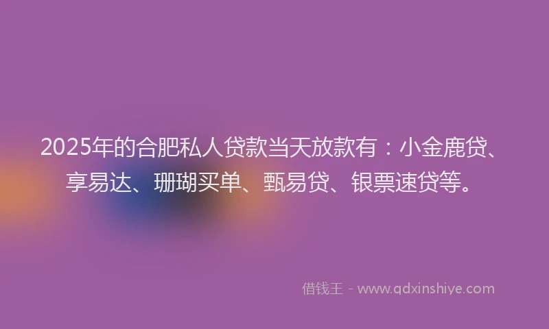 2025年的合肥私人贷款当天放款有：小金鹿贷、享易达、珊瑚买单、甄易贷、银票速贷等。