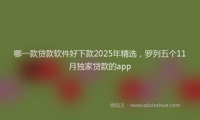 哪一款贷款软件好下款2025年精选，罗列五个11月独家贷款的app