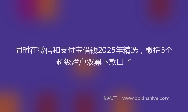 同时在微信和支付宝借钱2025年精选，概括5个超级烂户双黑下款口子