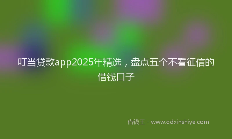 叮当贷款app2025年精选，盘点五个不看征信的借钱口子