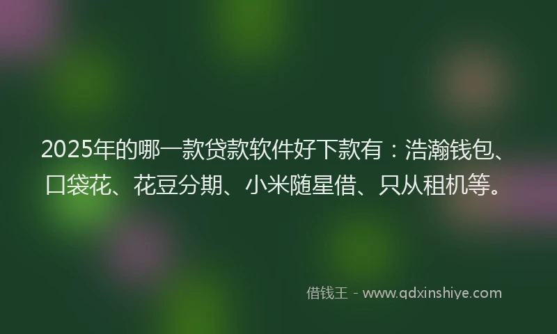 2025年的哪一款贷款软件好下款有：浩瀚钱包、口袋花、花豆分期、小米随星借、只从租机等。