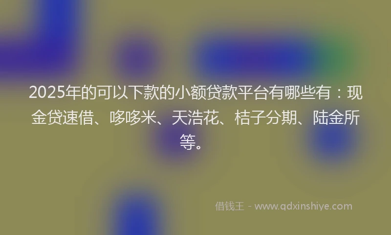 2025年的可以下款的小额贷款平台有哪些有：现金贷速借、哆哆米、天浩花、桔子分期、陆金所等。
