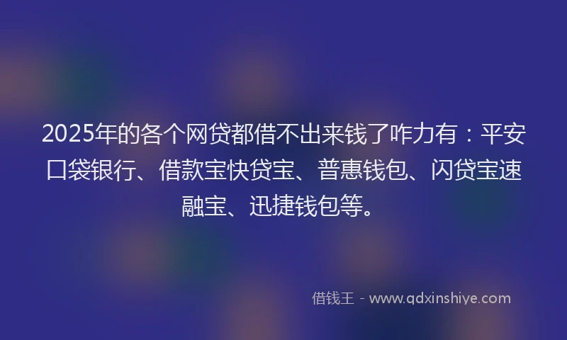 2025年的各个网贷都借不出来钱了咋力有：平安口袋银行、借款宝快贷宝、普惠钱包、闪贷宝速融宝、迅捷钱包等。