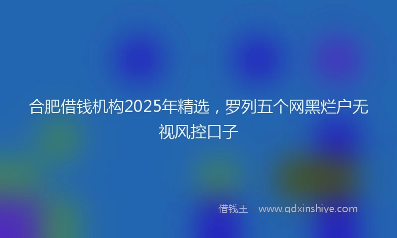 合肥借钱机构2025年精选，罗列五个网黑烂户无视风控口子