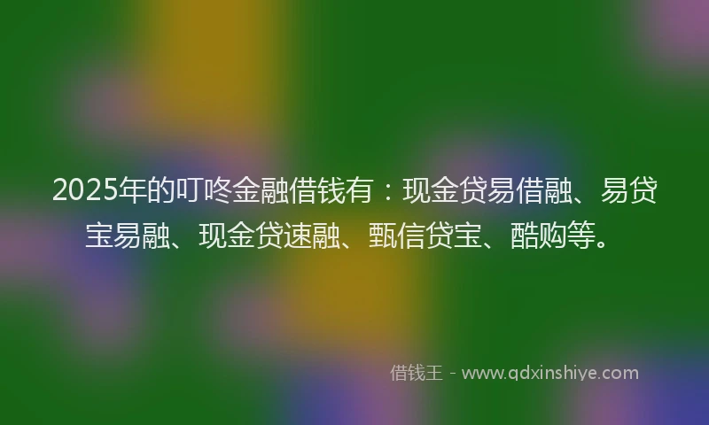 2025年的叮咚金融借钱有：现金贷易借融、易贷宝易融、现金贷速融、甄信贷宝、酷购等。