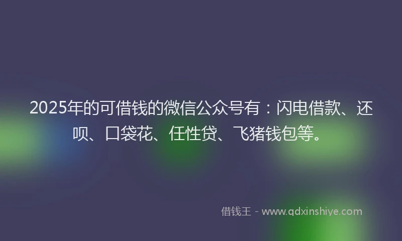 2025年的可借钱的微信公众号有：闪电借款、还呗、口袋花、任性贷、飞猪钱包等。