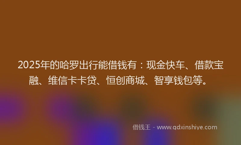 2025年的哈罗出行能借钱有：现金快车、借款宝融、维信卡卡贷、恒创商城、智享钱包等。