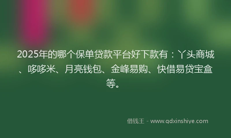 2025年的哪个保单贷款平台好下款有:丫头商城、哆哆米、月亮钱包、金峰易购、快借易贷宝盒等。