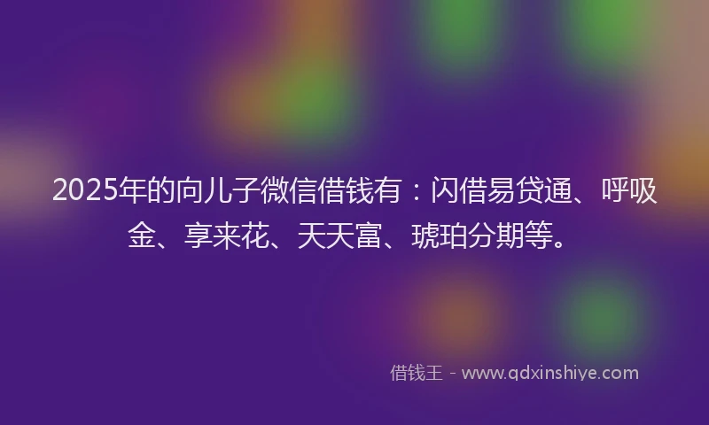 2025年的向儿子微信借钱有：闪借易贷通、呼吸金、享来花、天天富、琥珀分期等。