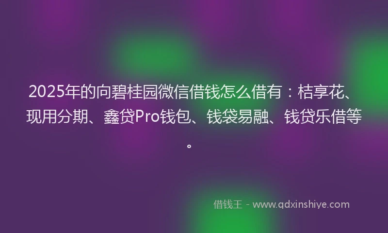 2025年的向碧桂园微信借钱怎么借有：桔享花、现用分期、鑫贷Pro钱包、钱袋易融、钱贷乐借等。