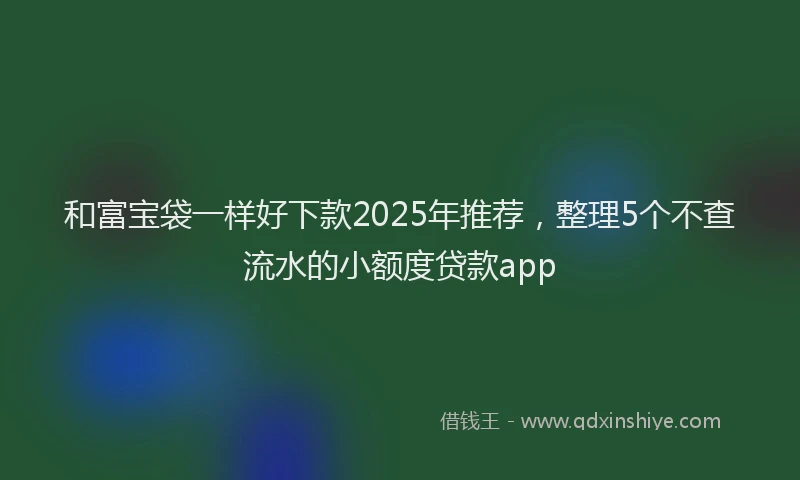 和富宝袋一样好下款2025年推荐，整理5个不查流水的小额度贷款app
