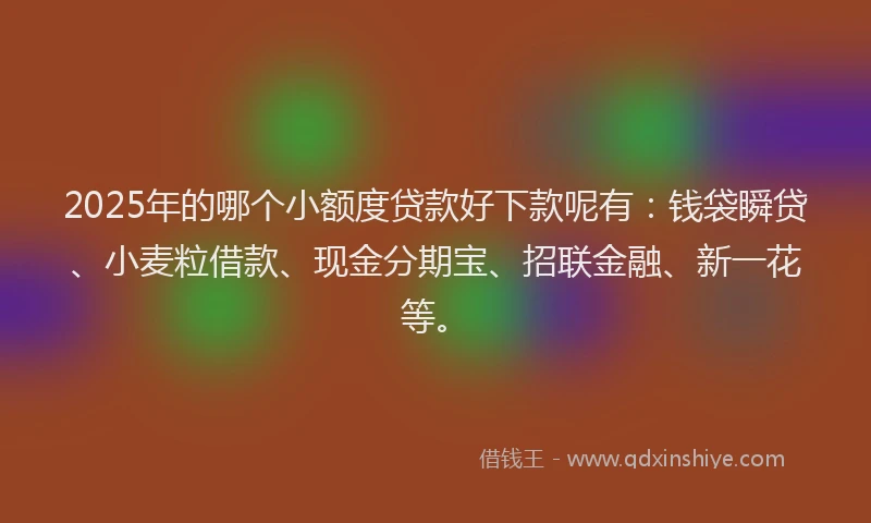 2025年的哪个小额度贷款好下款呢有：钱袋瞬贷、小麦粒借款、现金分期宝、招联金融、新一花等。