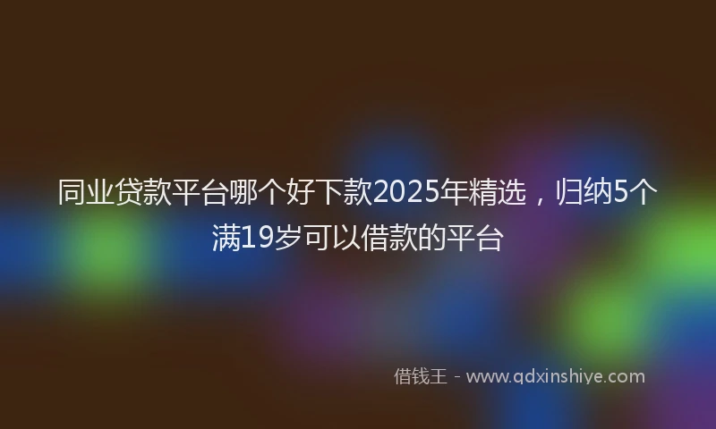 同业贷款平台哪个好下款2025年精选，归纳5个满19岁可以借款的平台