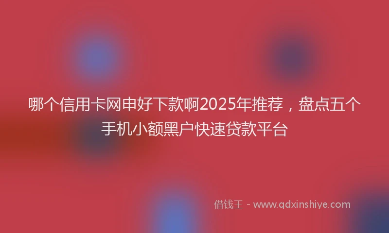 哪个信用卡网申好下款啊2025年推荐,盘点五个手机小额黑户快速贷款平台