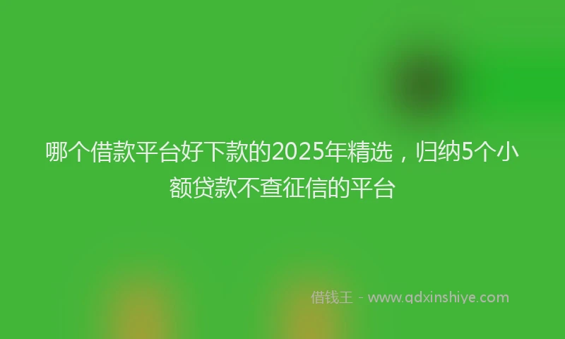 哪个借款平台好下款的2025年精选，归纳5个小额贷款不查征信的平台