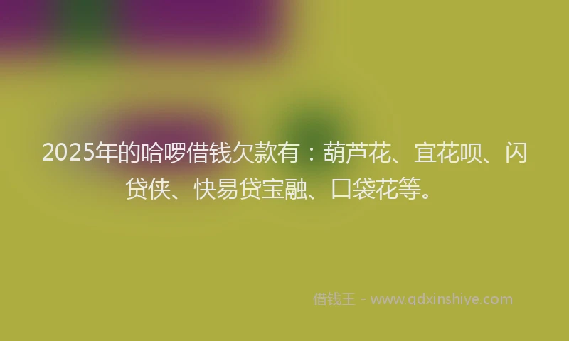 2025年的哈啰借钱欠款有：葫芦花、宜花呗、闪贷侠、快易贷宝融、口袋花等。