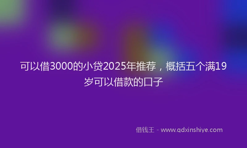可以借3000的小贷2025年推荐，概括五个满19岁可以借款的口子