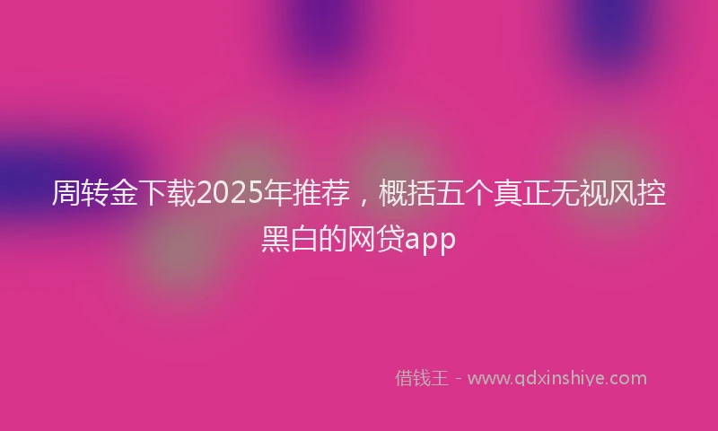 周转金下载2025年推荐，概括五个真正无视风控黑白的网贷app