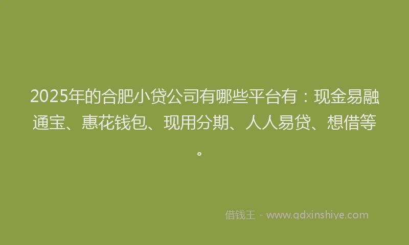 2025年的合肥小贷公司有哪些平台有：现金易融通宝、惠花钱包、现用分期、人人易贷、想借等。