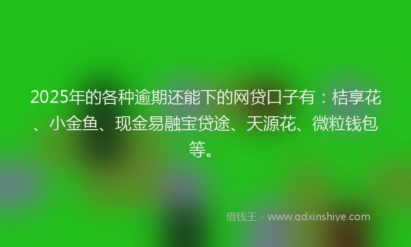 2025年的各种逾期还能下的网贷口子有：桔享花、小金鱼、现金易融宝贷途、天源花、微粒钱包等。
