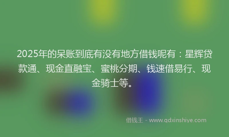 2025年的呆账到底有没有地方借钱呢有：星辉贷款通、现金直融宝、蜜桃分期、钱速借易行、现金骑士等。