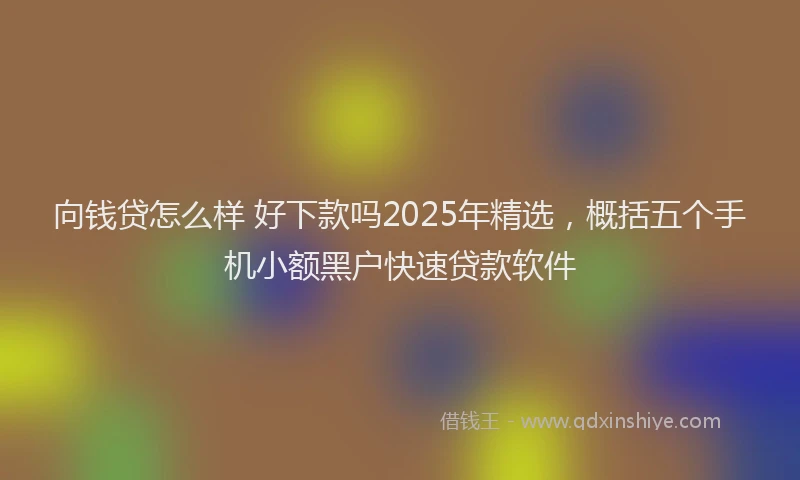 向钱贷怎么样 好下款吗2025年精选，概括五个手机小额黑户快速贷款软件