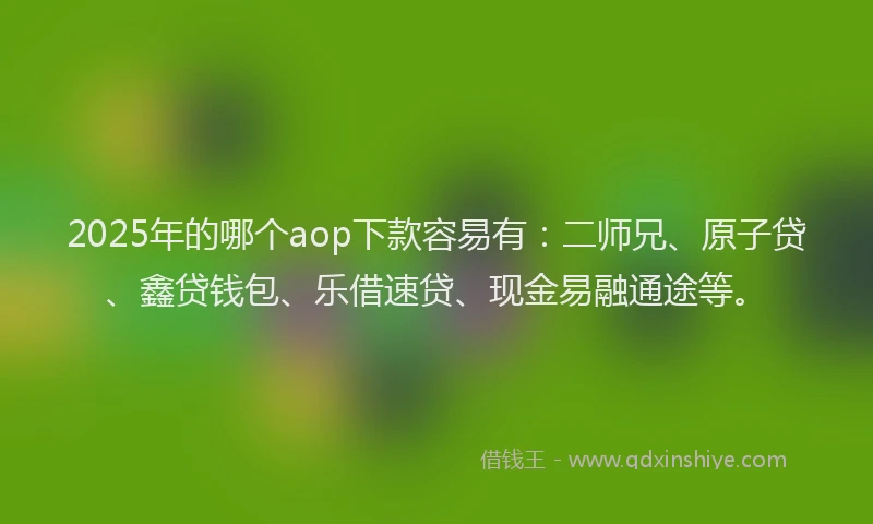 2025年的哪个aop下款容易有：二师兄、原子贷、鑫贷钱包、乐借速贷、现金易融通途等。