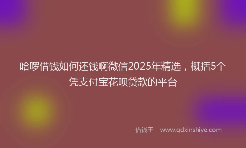哈啰借钱如何还钱啊微信2025年精选，概括5个凭支付宝花呗贷款的平台