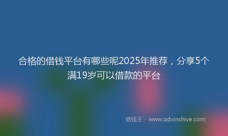 合格的借钱平台有哪些呢2025年推荐，分享5个满19岁可以借款的平台