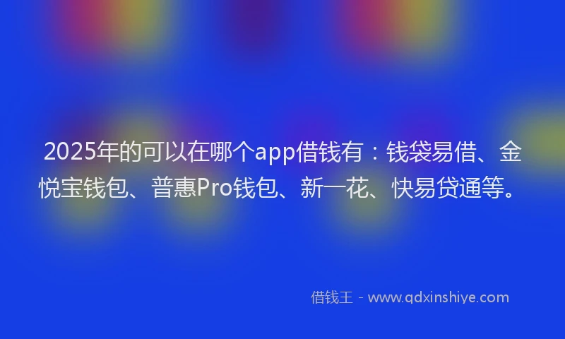2025年的可以在哪个app借钱有：钱袋易借、金悦宝钱包、普惠Pro钱包、新一花、快易贷通等。