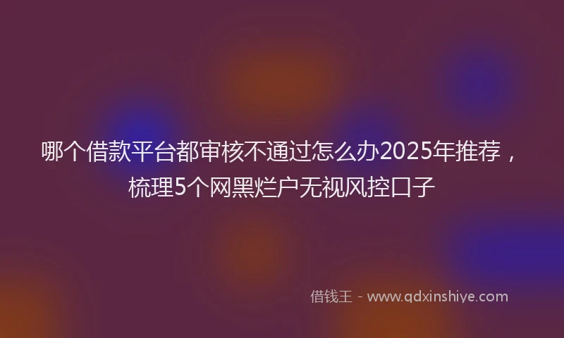 哪个借款平台都审核不通过怎么办2025年推荐，梳理5个网黑烂户无视风控口子