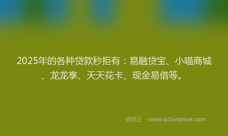 2025年的各种贷款秒拒有：易融贷宝、小喵商城、龙龙享、天天花卡、现金易借等。