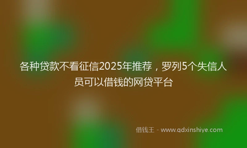 各种贷款不看征信2025年推荐，罗列5个失信人员可以借钱的网贷平台