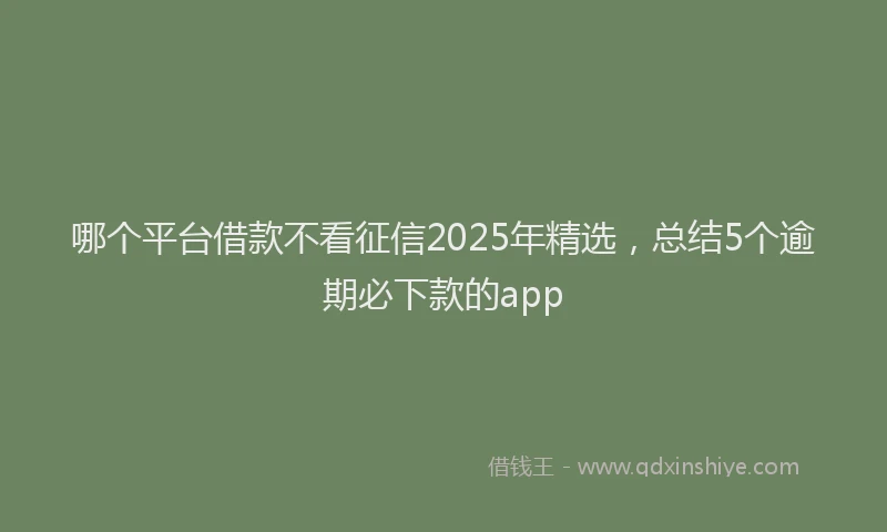 哪个平台借款不看征信2025年精选，总结5个逾期必下款的app