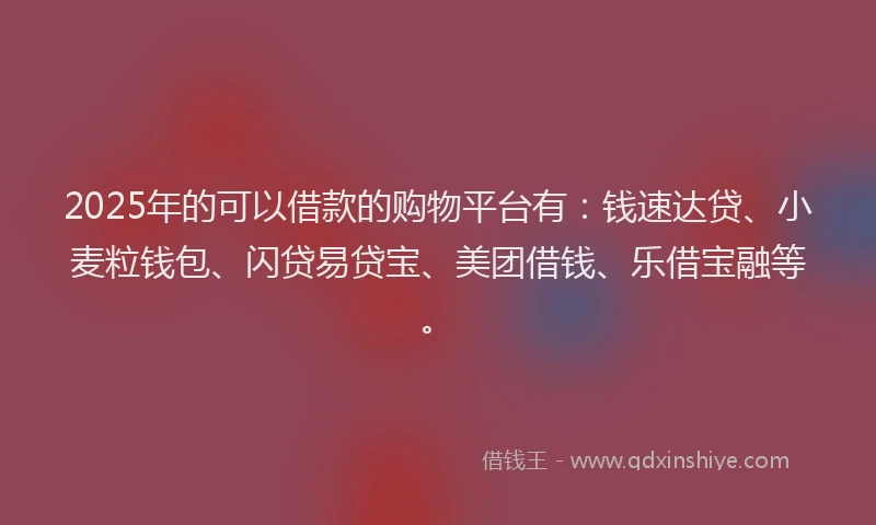 2025年的可以借款的购物平台有：钱速达贷、小麦粒钱包、闪贷易贷宝、美团借钱、乐借宝融等。
