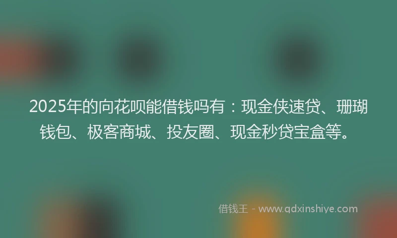 2025年的向花呗能借钱吗有：现金侠速贷、珊瑚钱包、极客商城、投友圈、现金秒贷宝盒等。