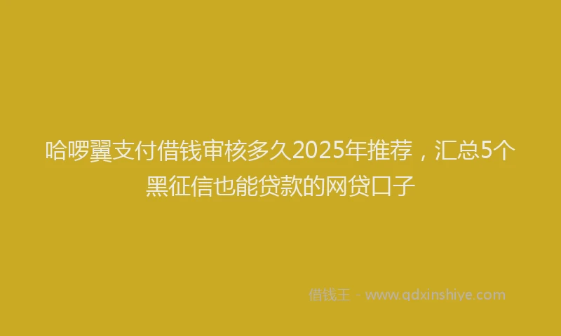 哈啰翼支付借钱审核多久2025年推荐，汇总5个黑征信也能贷款的网贷口子