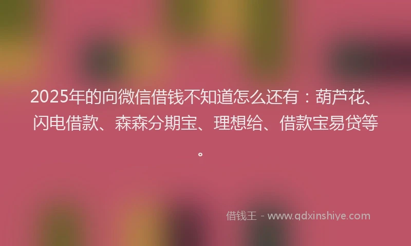 2025年的向微信借钱不知道怎么还有：葫芦花、闪电借款、森森分期宝、理想给、借款宝易贷等。