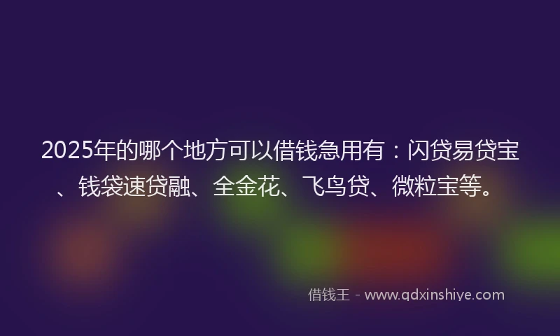 2025年的哪个地方可以借钱急用有：闪贷易贷宝、钱袋速贷融、全金花、飞鸟贷、微粒宝等。